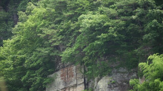 화순적벽 적벽 창랑적벽 물염적벽 보산적벽 화순 적벽 절벽 암벽 절경 명승 명승지 호수 저수지 동복호 동복댐 반영 수면 반영 산 산세 산봉우리 경치 자연 풍경 관광지 한국 명소 국명승 명승제85호 전라남도