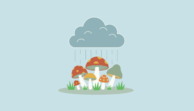 Colorful mushrooms of different shapes and sizes growing in the grass during a fresh rain shower under a grey cloud.