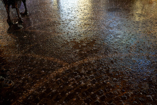Heavy rain splashing on a reflective cobblestone street at night, with the metallic hooves of a bronze animal statue visible on the edge of the frame.