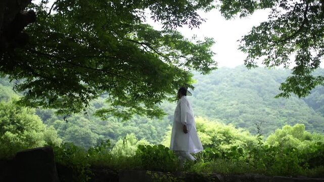 조선시대 선비 한복 갓 전통 역사 정자 누정 유학자 양반 유학 학자 뒷모습 사대부 인물 남성 도포 자연 경치 산세 수목 숲 힐링 풍류 사색 풍경 한옥 한국 문화재 유적지