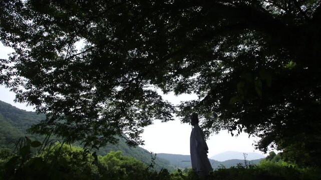 조선시대 선비 한복 갓 전통 역사 정자 누정 유학자 양반 유학 학자 뒷모습 사대부 인물 남성 도포 자연 경치 산세 수목 숲 힐링 풍류 사색 풍경 한옥 한국 문화재 유적지