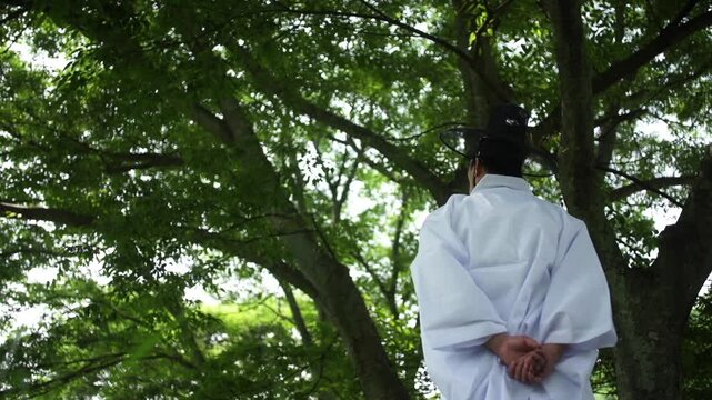조선시대 선비 한복 갓 전통 역사 정자 누정 유학자 양반 유학 학자 뒷모습 사대부 인물 남성 도포 자연 경치 산세 수목 숲 힐링 풍류 사색 풍경 한옥 한국 문화재 유적지