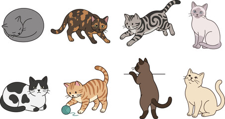 Fototapeta premium Collection of various colored domestic cats