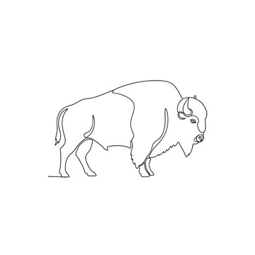 Bison outline illustration
