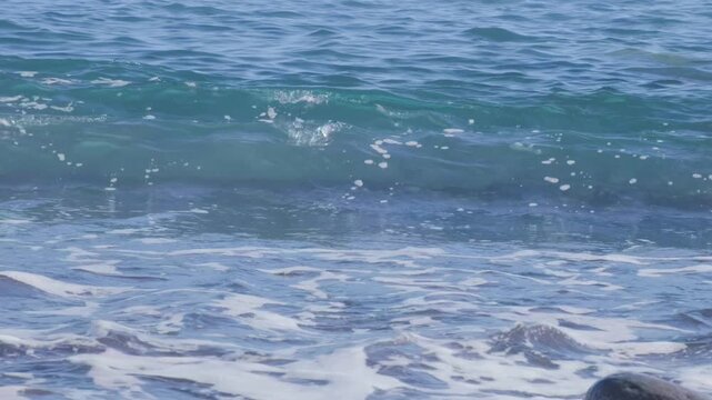 Atlantic Ocean waves crash gently on shore, warm Gulf Stream current, relaxing coastal scene, natural power, sea breeze, aquatic travel