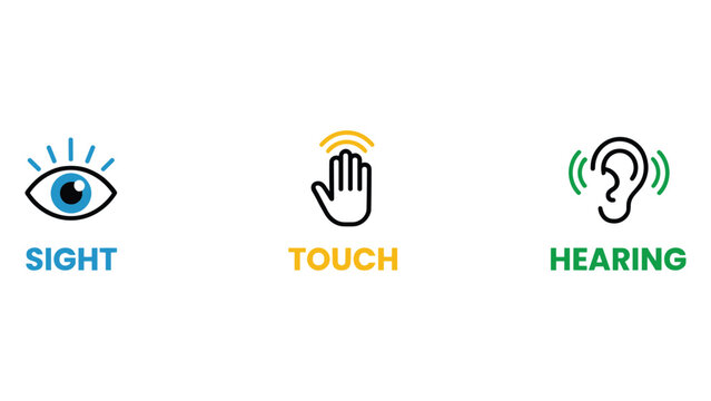 The Five Senses: A clear illustration depicting the human senses of sight, touch, and hearing, represented by distinct icons, symbolizing perception and awareness.