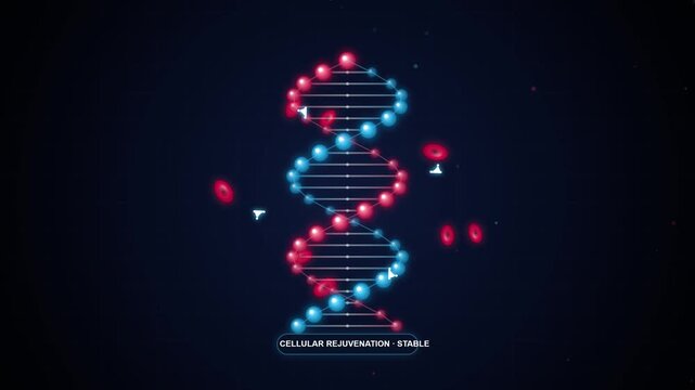 Abstract DNA Strand Rejuvenation Animation for Medical Research