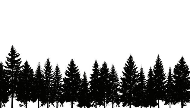 Black silhouette vector of spruce trees forming a dense forest border along the bottom, isolated on transparent background, representing nature and woodland environments.