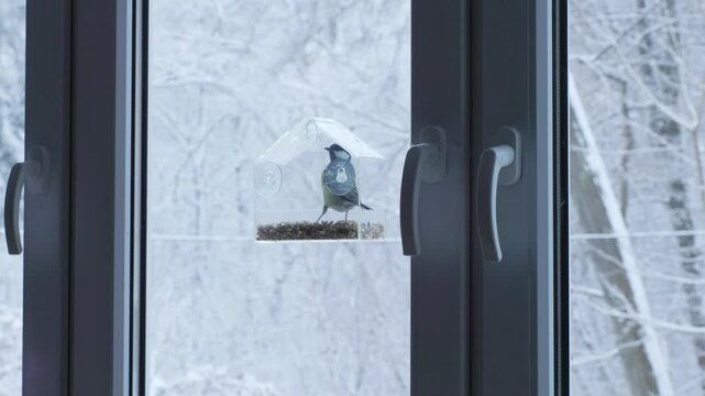 A small bird clings to a window feeder and eats seeds while snow creates a soft textured background. Ideal for gentle nature themes.