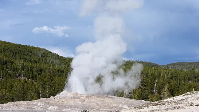 Old Faithful Geyser steaming on a stormy sky day, summer vacation exploring Yellowstone National Park
