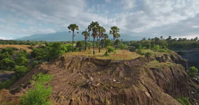 Palm trees standing on a hill overlooking a tropical landscape with a distant volcano. Travel Bali, Indonesia. Aerial view drone flight