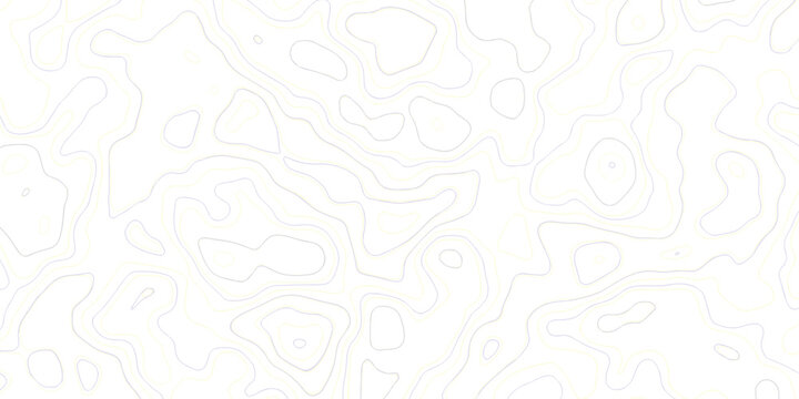 Minimal area topography spiral line white background. landscape black line wireframe location diagram world map texture design.	
