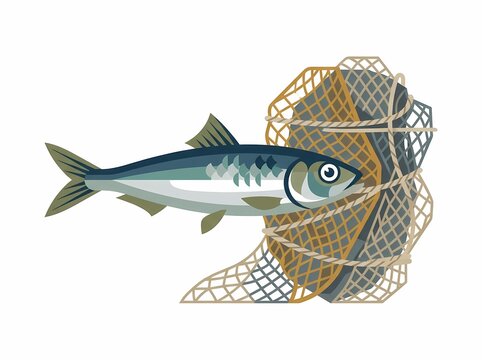 Illustration of a single sardine fish swimming into a fishing net.