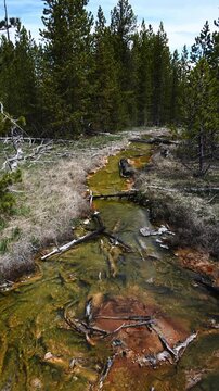 Hot stream through Artists' Paintpots area of Yellowstone National Park, summer vacation destination for outdoor nature recreation
