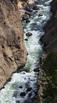 View of scenic cliff and canyon off the Grand Loop road with the Yellowstone River at the bottom, Yellowstone National Park, summer vacation destination for outdoor nature recreation
