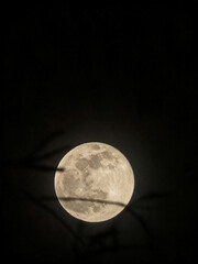 full moon over blue sky © alsphn