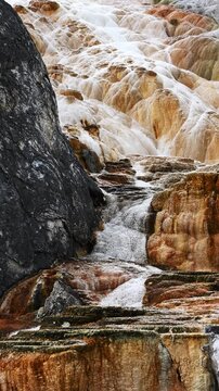 Scalloped geothermal features on Upper Terrace of Mammoth Hot Springs, Yellowstone National Park, summer vacation destination for outdoor nature recreation
