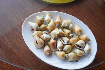 Gonggong snail, an iconic seafood dish from the Riau Islands made from the *Laevistrombus canarium* sea snail. © and