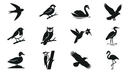 Fototapeta premium Diverse collection of bird silhouettes showcasing various species and poses.