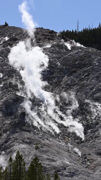 Steaming Cliffs, active hillside steam vents at Roaring Mountain, summer vacation exploring Yellowstone National Park geologic features
