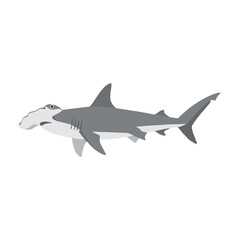 Obraz premium Hammerhead Shark Isolated on Transparent Background