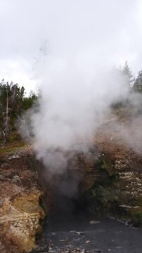 Dragon's Mouth Spring with boiling water and steam rising geothermal feature in Hayden Valley, Yellowstone National Park, summer vacation destination for outdoor nature recreation
