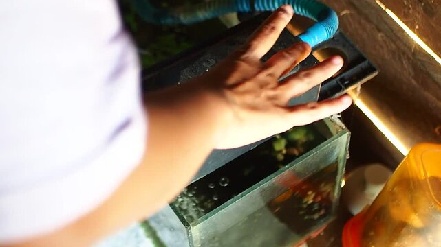 Close-up of a person's hand adjusting or checking an aquarium water filter box on a small fish tank, demonstrating routine maintenance for pet fish.