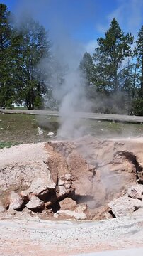 Steaming fumarole off the Fountain Paint Pot boardwalk trail, summer vacation at Yellowstone National Park viewing natural geothermal features
