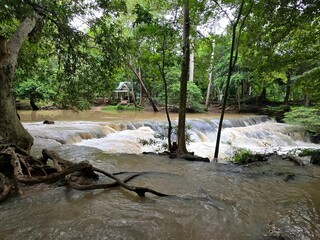 Jungle River Waterfall: A serene jungle river cascades over rocks, surrounded by lush green trees and dense foliage, creating a tranquil natural paradise. © Putt_Sanplee