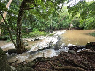 Jungle Stream with Lush Greenery: A serene stream cascades over rocks amidst a dense, vibrant jungle, with ancient trees and hanging vines creating a picturesque natural scene. © Putt_Sanplee