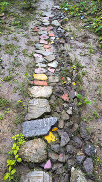 stone path in the forest