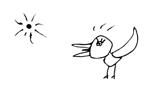 Monochrome hand drawn line art set of bird squawking and sun