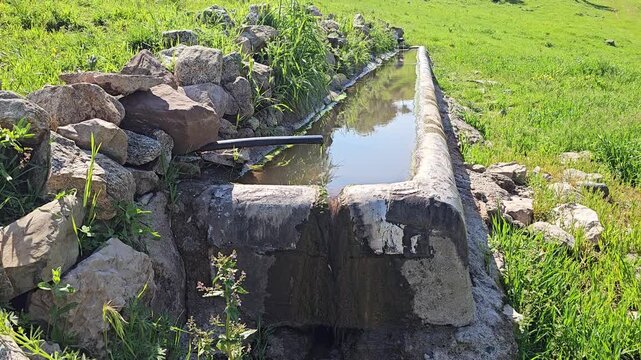 Spring water flows through a rustic trough beside a pile of rocks in a lush green mountain meadow with scattered trees and distant hills
📍 Marivan, Kurdistan, Iran 