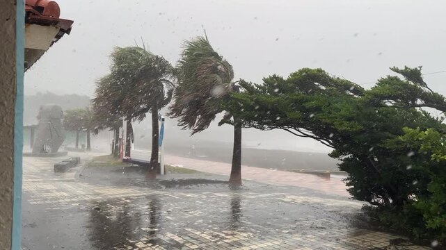 Tropical Storm Drenches Tropical Coastline With Heavy Rain And Strong Wind