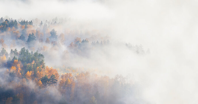 Autumn forest in fog, forested hill, open space
