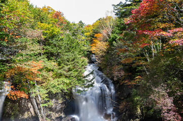 秋の紅葉に囲まれた渓谷を流れ落ちる、豊かな水量の滝の情景 © MORIO