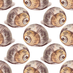 Watercolor seamless pattern with brown yellow sea shell with shadow on white background. Creative hand-drawn nature realistic art for celebration card. River element for wallpaper or wrapping © NatashaKun