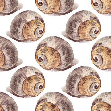 Watercolor seamless pattern with brown yellow sea shell with shadow on white background. Creative hand-drawn nature realistic art for celebration card. River element for wallpaper or wrapping