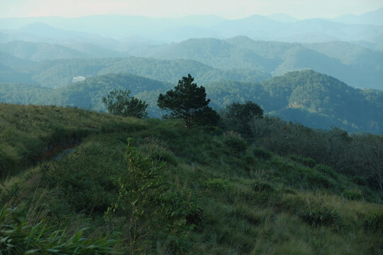 Rolling mountain ranges in Cau Dat plateau Da Lat Vietnam