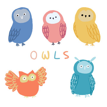 Owl hand draw with brush texture in many color