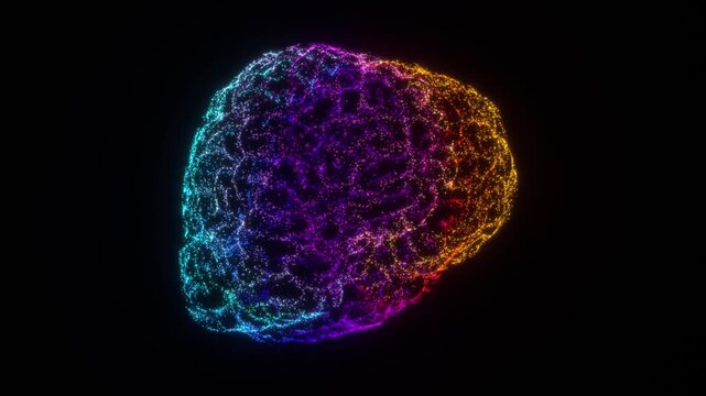 回転する脳の粒子の点群で右回転にも左回転にも見えるシルエット錯視のループアニメーション動画
