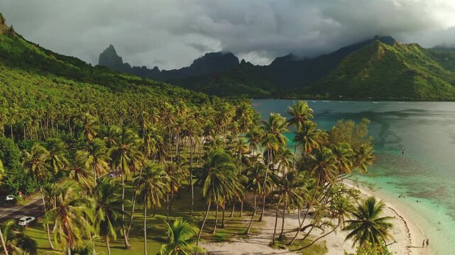 Drone fly over Moorea lush green mountains frame tropical white sand beach with swaying palm trees and calm turquoise lagoon, swimmers and watersports tourists enjoy paradise summer tropical vacation