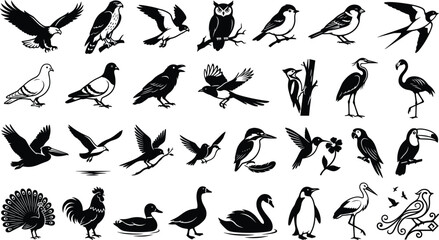 Fototapeta premium Black bird silhouette collection featuring eagles, owls, pigeons, crows, swallows, parrots, flamingos, penguins, ducks, swans, and tropical birdsBlack bird silhouette collection 
