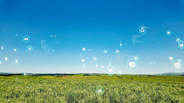 Nature, technology, network, forest, blue sky, future, SDGs, sustainability, sustainable, GX, environment, fresh greenery, earth, green, ecology, ecosystem, global environment, environmental protectio