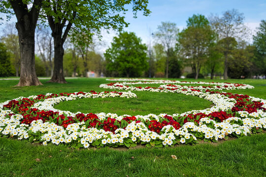 Vibrant tulip flower carpet in empty park Sultanahmet Istanbul Turkey spring