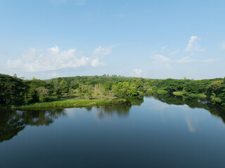 Obraz premium Freshwater lake surrounded by green forest under clear blue morning sky. Water conservation, sustainable resource management, climate action and healthy natural ecosystem. Environmental conservation.