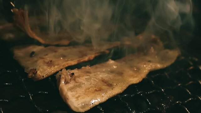 Close-up of marinated pork sizzling on a wire mesh gridiron over hot charcoal.