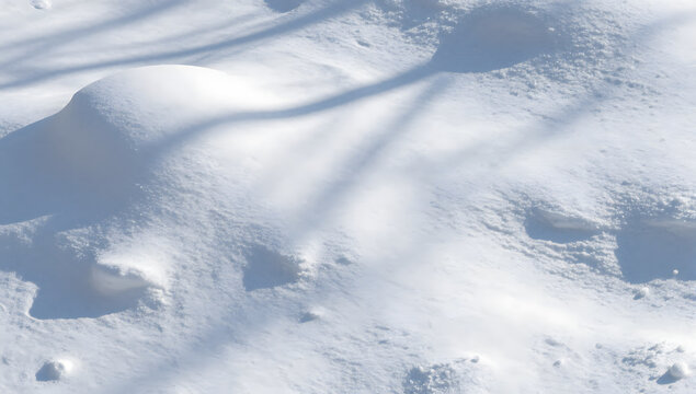 Drifting Snow Texture: A close-up, top-down view of smooth, undulating snowdrifts under a bright, clear sky, showcasing the delicate patterns and textures of winter's embrace.