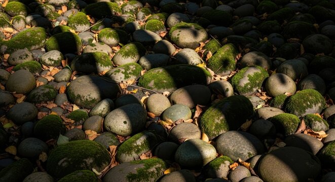 Moss covered river stones with fallen leaves on the ground