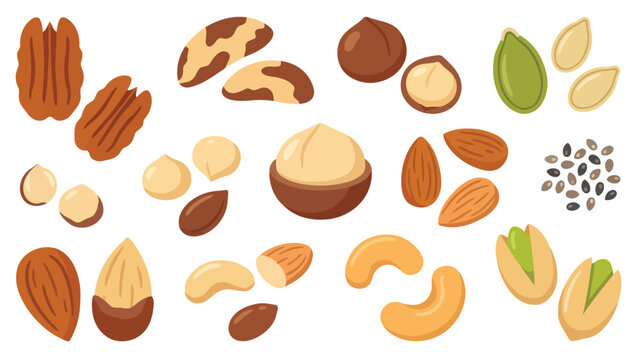 nuts and dried fruits
